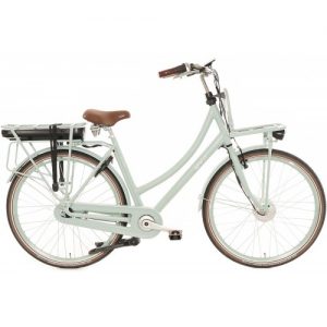 Spirit E-Cargo N7 Elektrische Transportfiets Groen